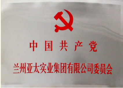 ����333����ʵҵ�������޹�˾���赳ί��ר��